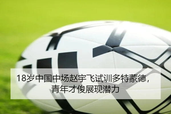 18岁中国中场赵宇飞试训多特蒙德，青年才俊展现潜力