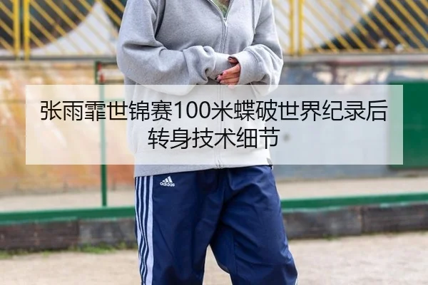 张雨霏世锦赛100米蝶破世界纪录后转身技术细节